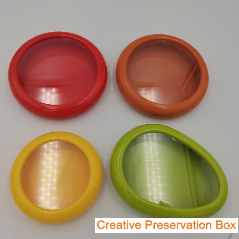 Cute Design TPU-Film Seal ABS Fruit Preservation Box for Food Storage for Travel Use