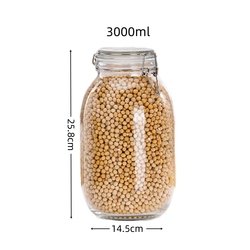 3000ml