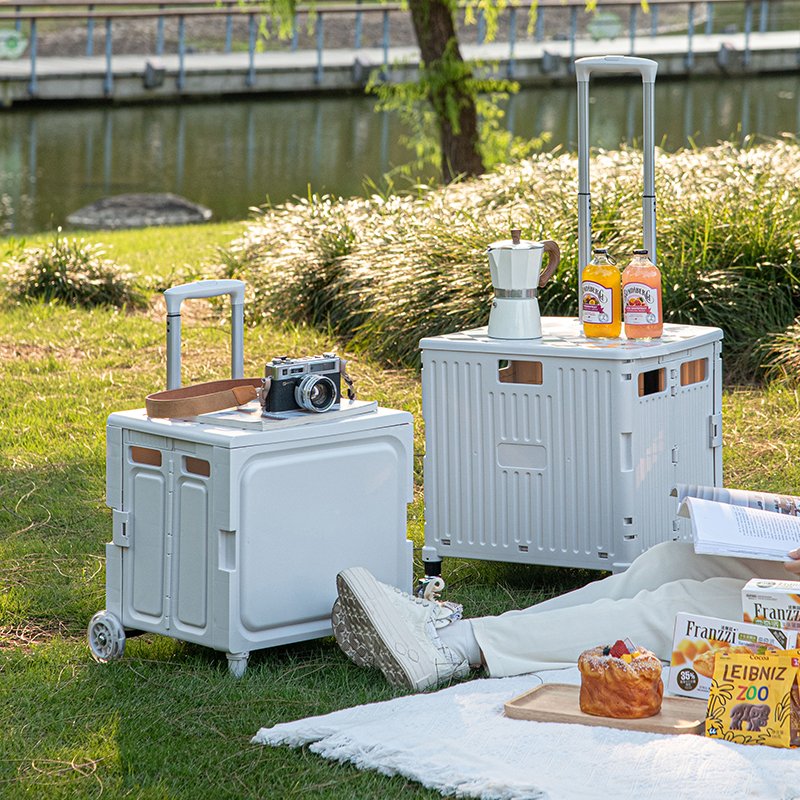 Supermarket Seat Foldable Luggage Trolleys Movable 4-Wheel Food Cart with Large Storage Box Plastic Material for Tool Use