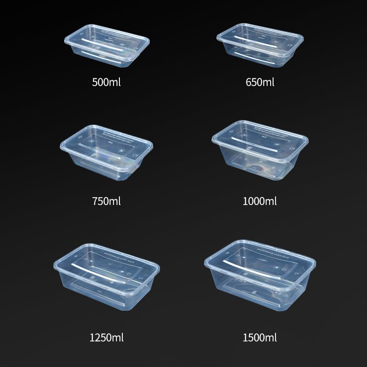 1000ml Disposable Plastic Food Containers for Traveling with Food