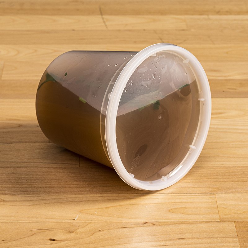 Tiya Disposable Hard Plastic Soup Food Storage Deli Cup Leakproof Airtight Plastic Deli Containers With Lid
