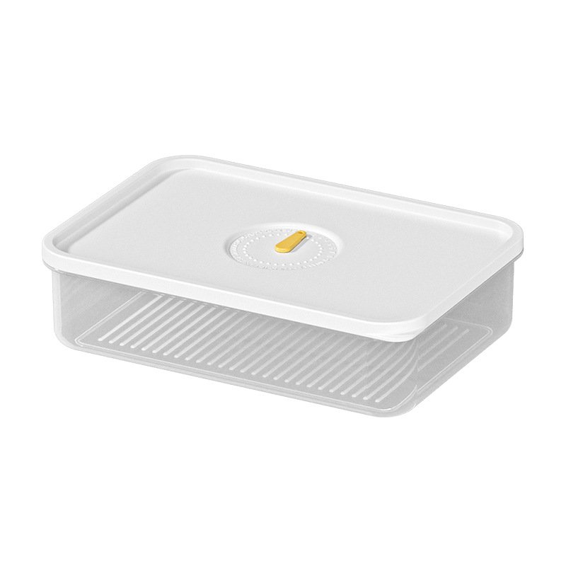 Factory cheap price refrigerator storage box frozen meat timer storage bin with lid for vegetables for kitchen