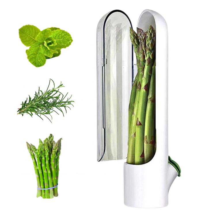 Manufacturer Refrigerator Cilantro Containers Freshness Herb Keeper Transparent Herb Savor Storage