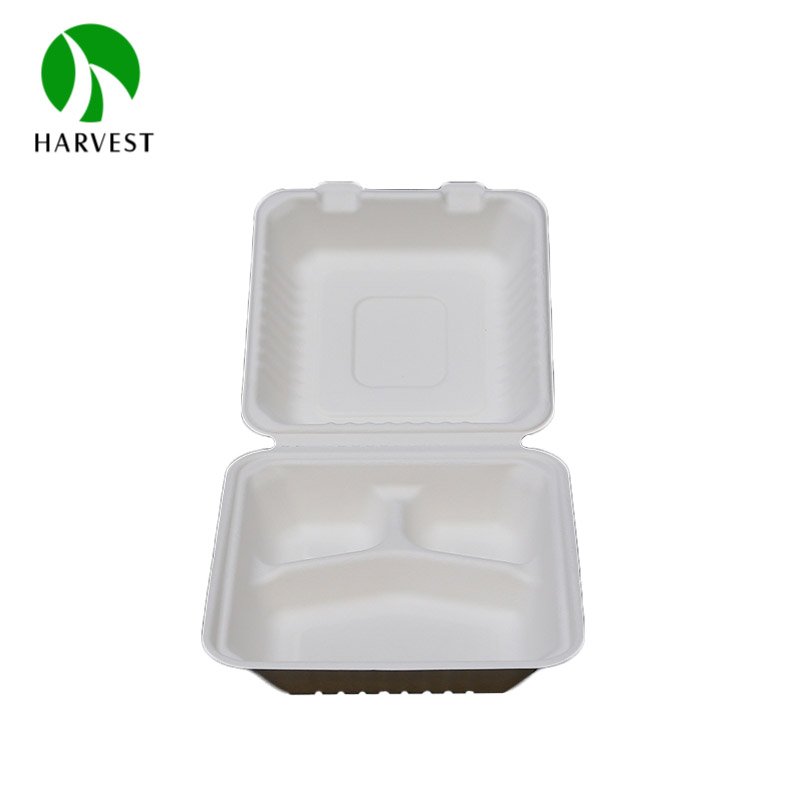 9 Inch Clamshell Biodegradable Takeaway Paper Food Storage Container