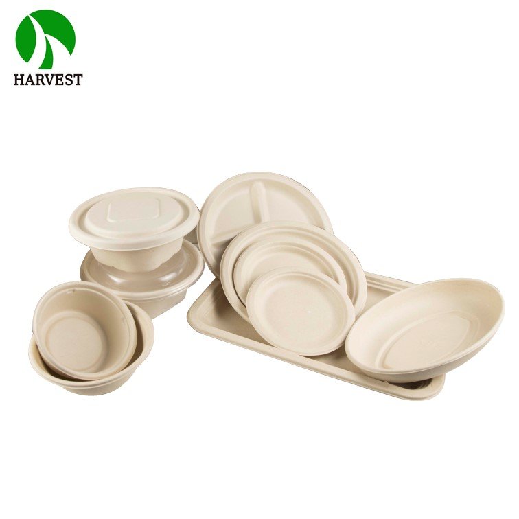 9 Inch Clamshell Biodegradable Takeaway Paper Food Storage Container