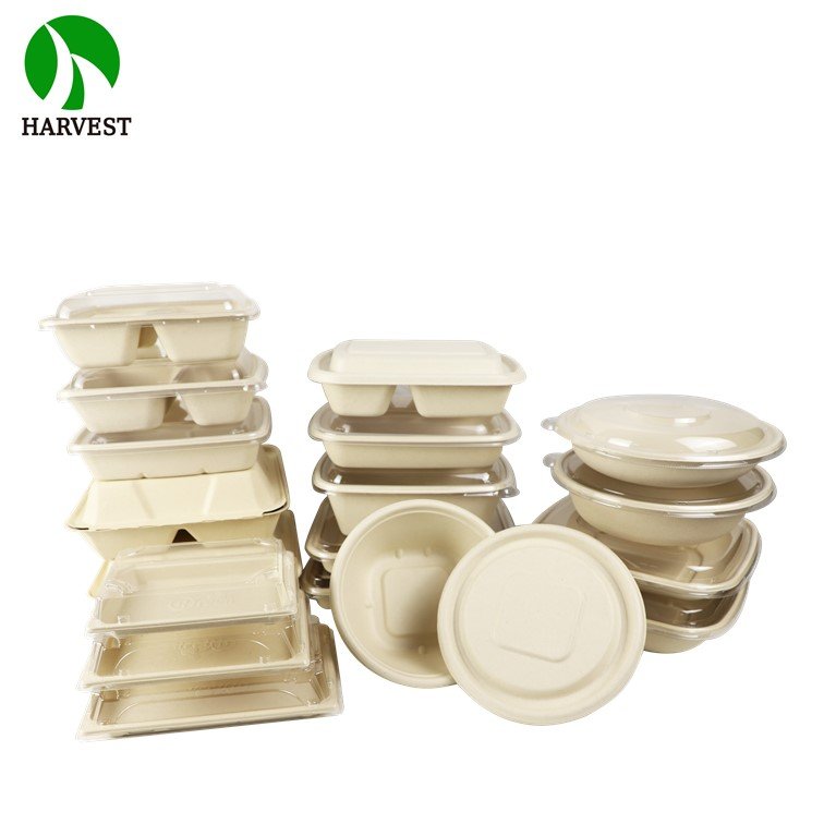 9 Inch Clamshell Biodegradable Takeaway Paper Food Storage Container