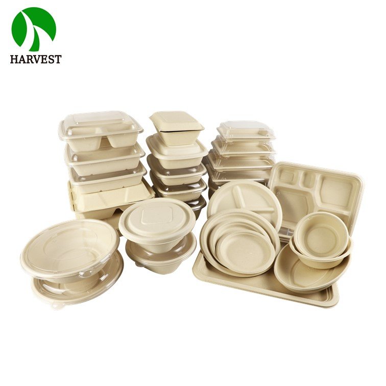 9 Inch Clamshell Biodegradable Takeaway Paper Food Storage Container