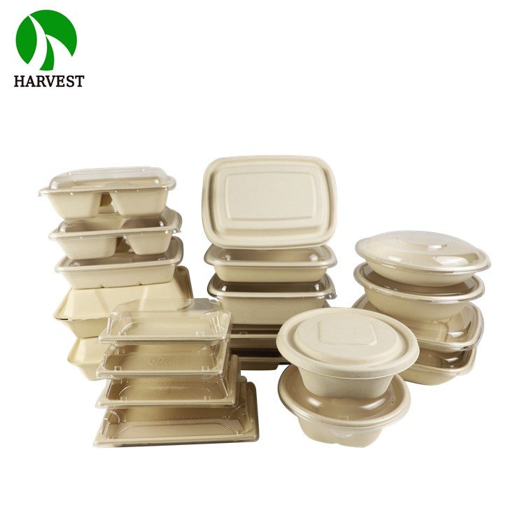 9 Inch Clamshell Biodegradable Takeaway Paper Food Storage Container