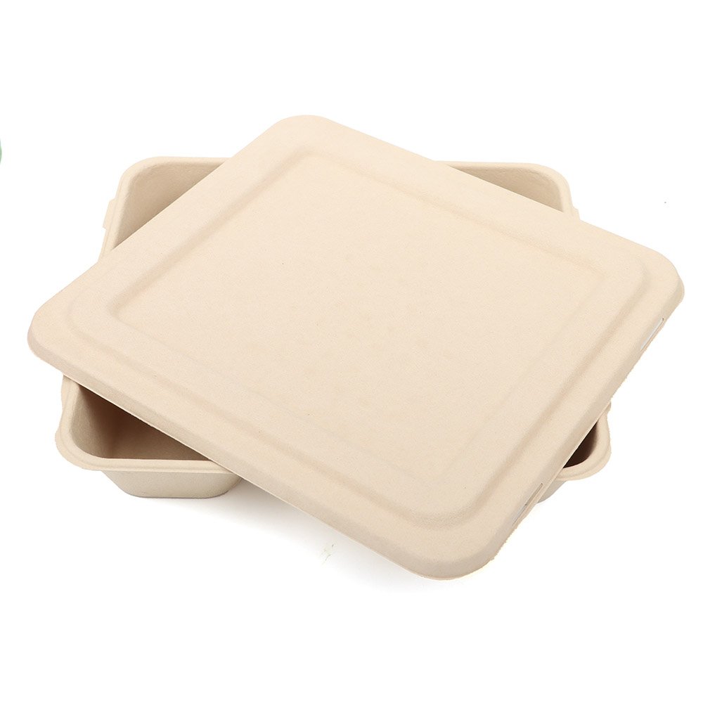Eco-friendly Disposable Biodegradable Fast Food Bamboo Pulp Container Custom Paper Lunch Box OEM ODM Compostable Plate With Lid