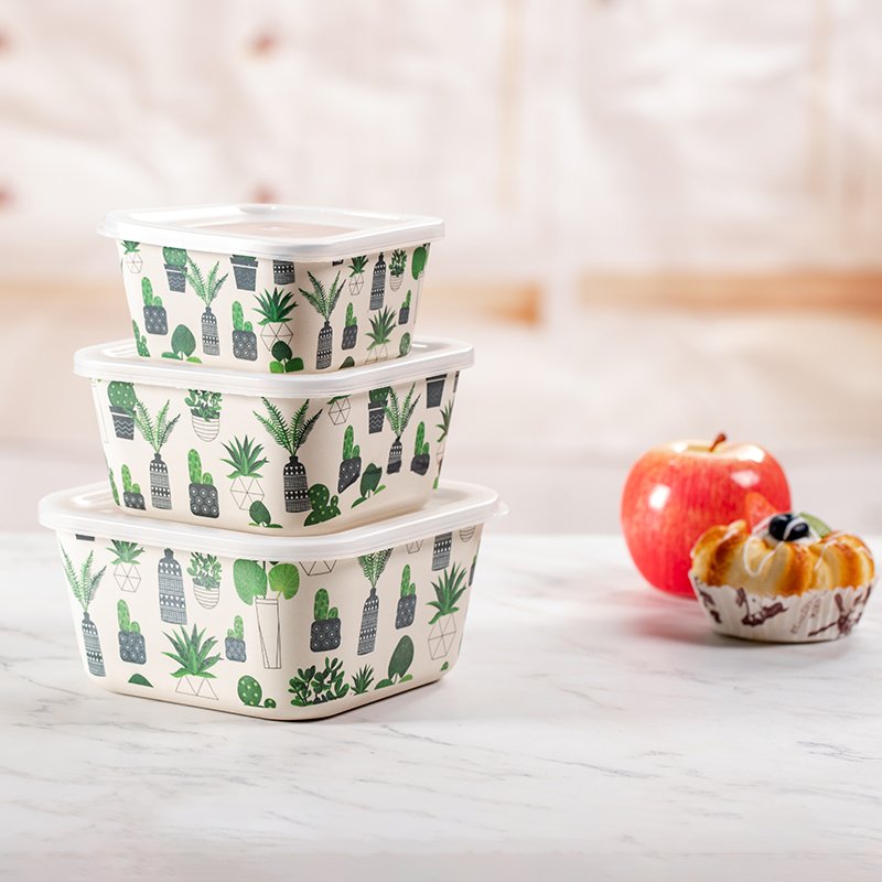 New Design Insulated Airtight Food Storage Box Modern Food Container Set for Secure Storage