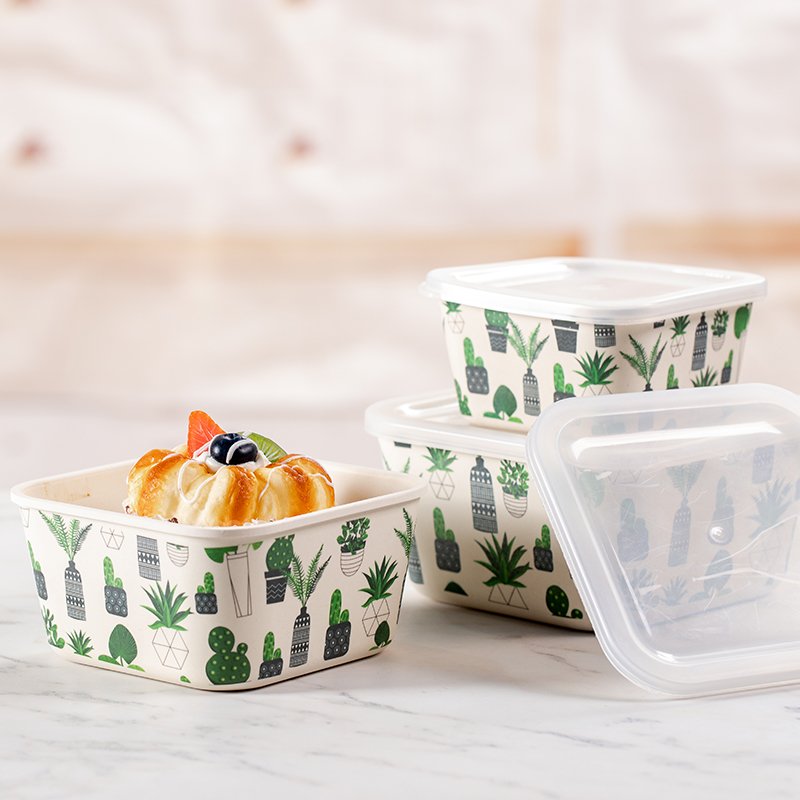 New Design Insulated Airtight Food Storage Box Modern Food Container Set for Secure Storage