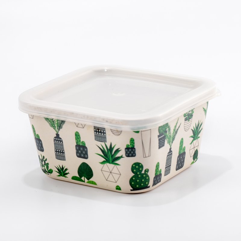 New Design Insulated Airtight Food Storage Box Modern Food Container Set for Secure Storage