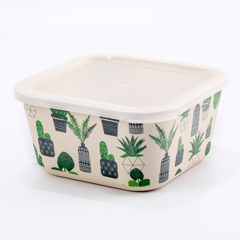 New Design Insulated Airtight Food Storage Box Modern Food Container Set for Secure Storage