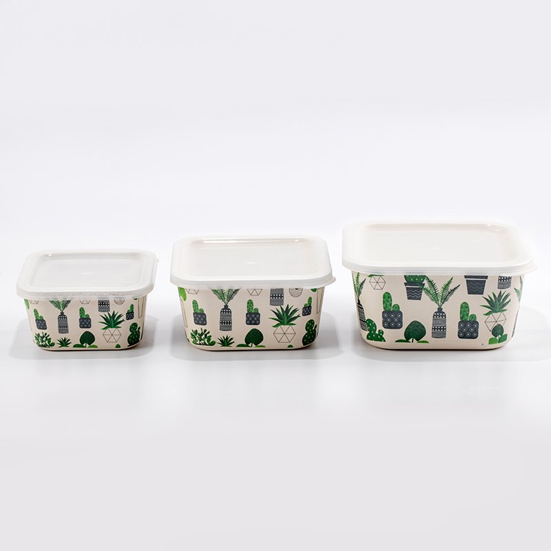 New Design Insulated Airtight Food Storage Box Modern Food Container Set for Secure Storage