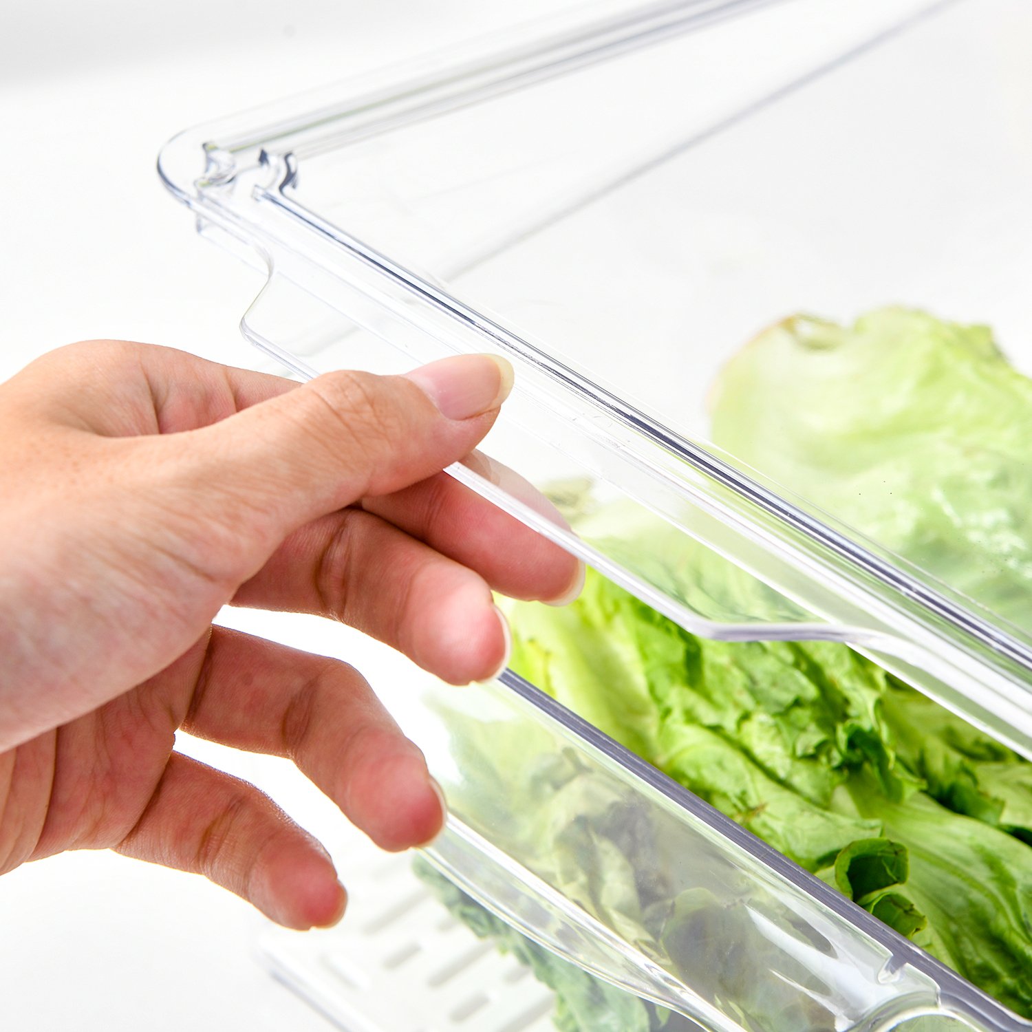 New Popular Refrigerator Clear Plastic Vegetable Food Storage Container Box Set