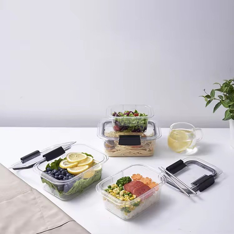 BPA Free Airtight Food Storage Containers with Lids for Fridge Meal Prep Leftovers Vegetables & Fruits