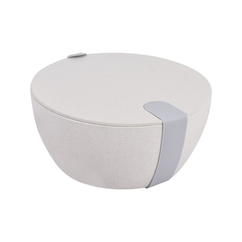 Low price custom lunch box custom salad bowl multi-function food storage container
