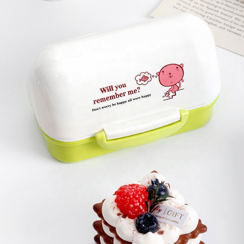 Eco Friendly Products 2023 School Portable Outdoor Picnic Plastic Food Storage Container Lunch Box Kids