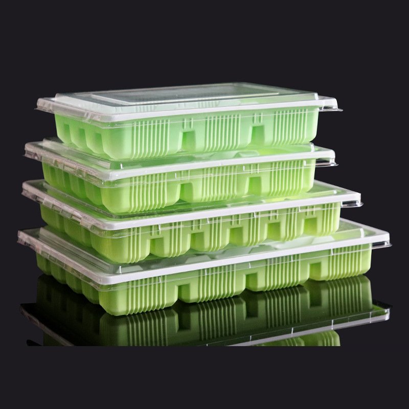 Disposable Dumplings Box Takeaway Special Meal Box Commercial Frozen Dumplings Plastic Storage Boxes & Bins Food Container Green