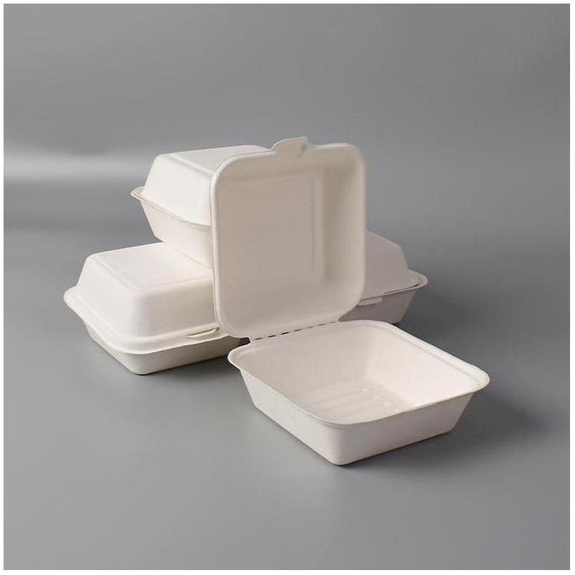 Disposable Food Storage Box Recyclable Tiffin 12 Pack Outdoor Cute Home Storage Black Snack Craft Disposable Containers For Food