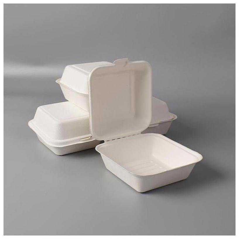 Disposable Food Storage Box Recyclable Tiffin 12 Pack Outdoor Cute Home Storage Black Snack Craft Disposable Containers For Food