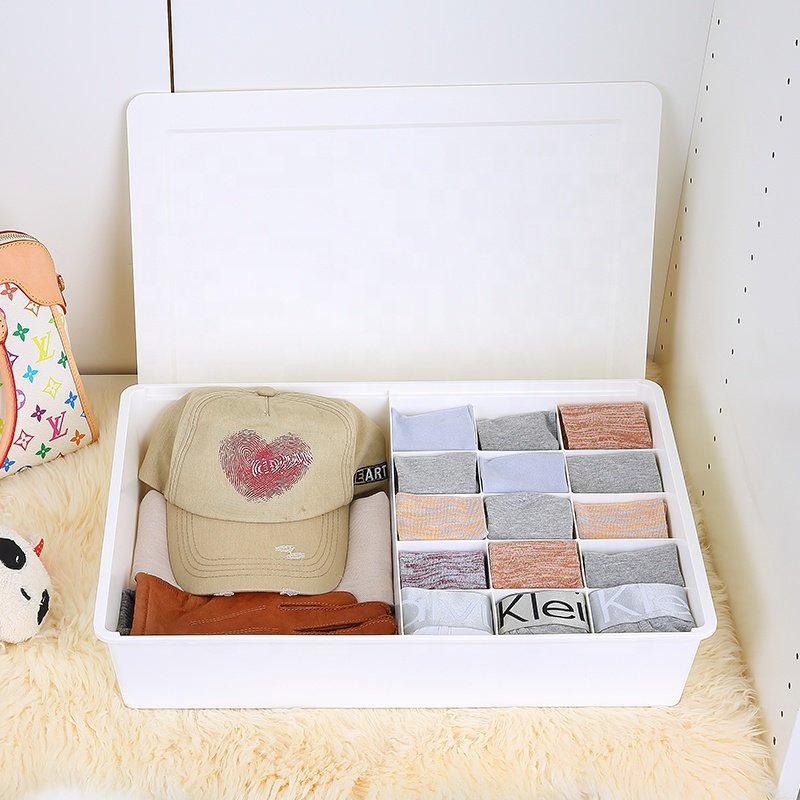 Household PP wardrobe organizer underclothes bra briefs socks plastic closet underwear storage box with lid
