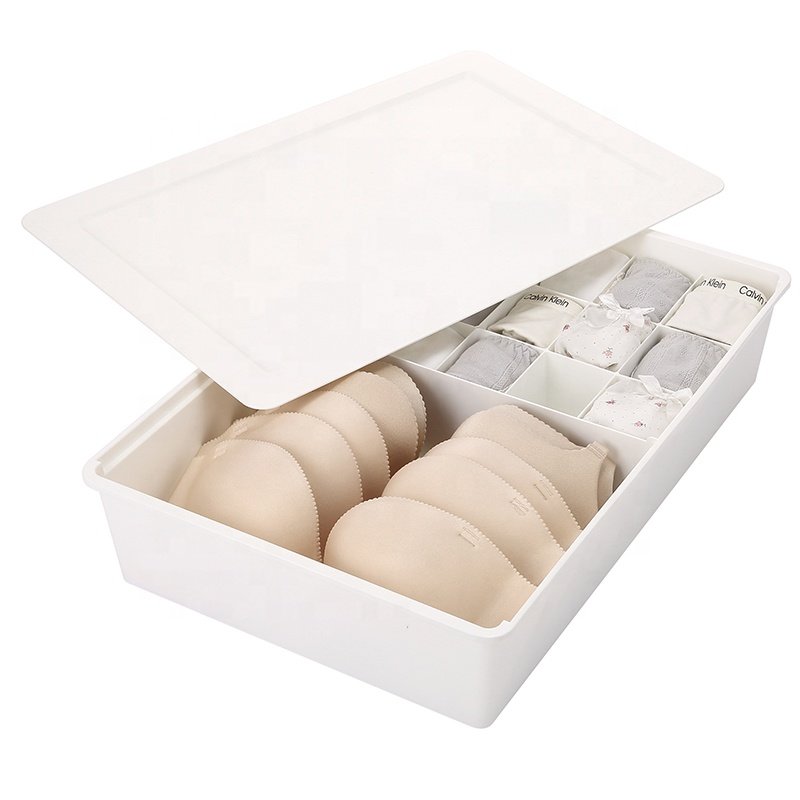 Household PP wardrobe organizer underclothes bra briefs socks plastic closet underwear storage box with lid