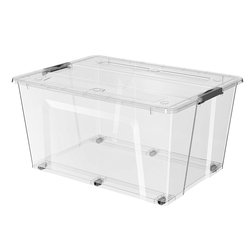 Transparent