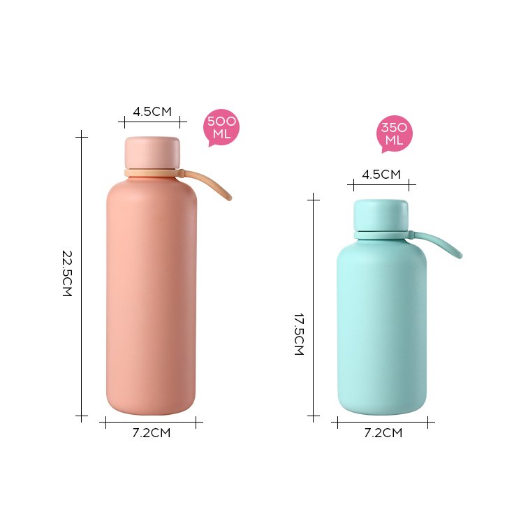 350ml Stainless Steel Water Bottle Drink Bottle Double Wall Insulated Vacuum Flask Gift Set with Handle