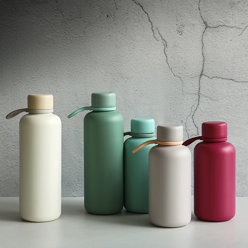 350ml Stainless Steel Water Bottle Drink Bottle Double Wall Insulated Vacuum Flask Gift Set with Handle