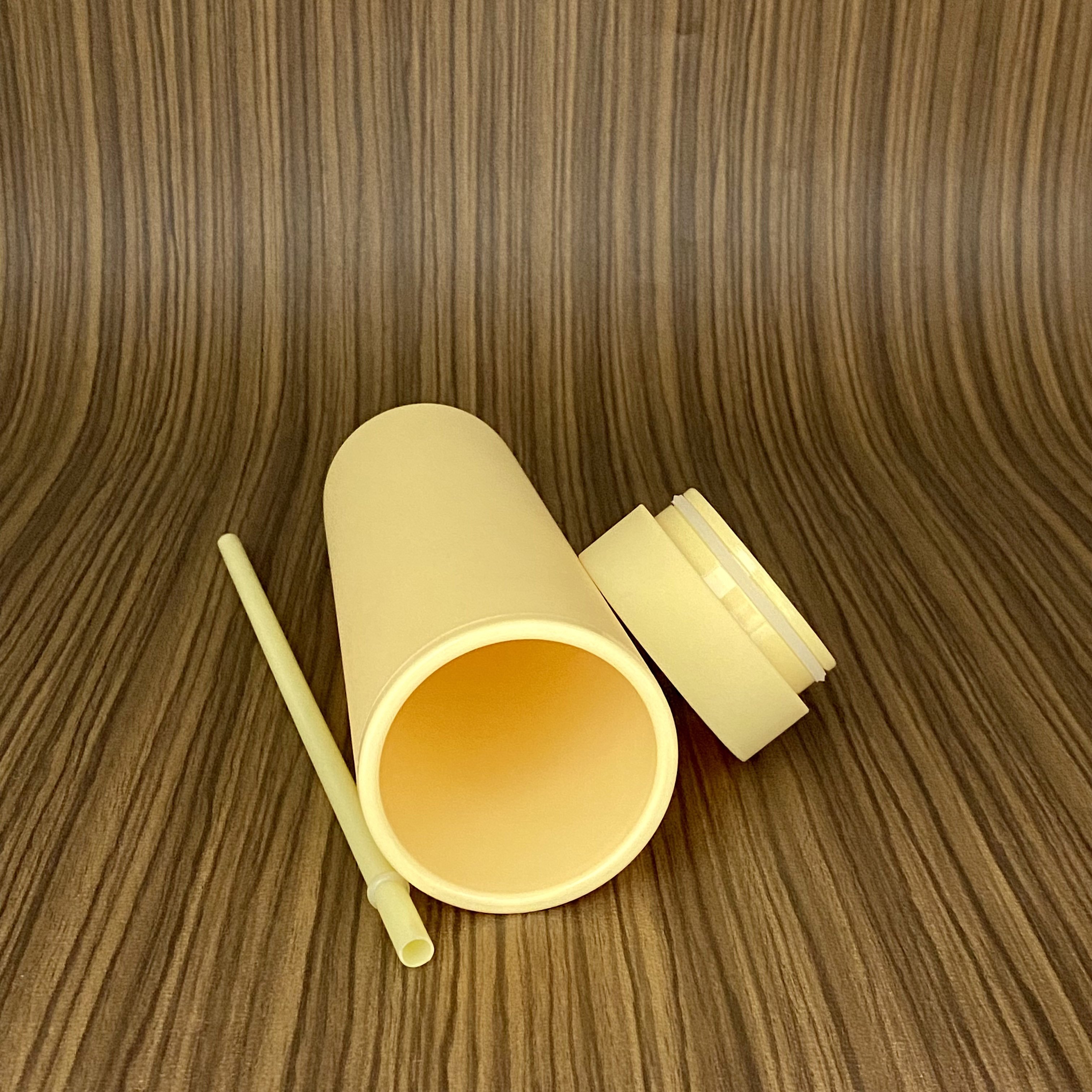 Wholesale 16oz Double Wall Matte Acrylic Skinny Tumbler Insulated Colorful Plastic Cups Water Bottle With Lid And Straw