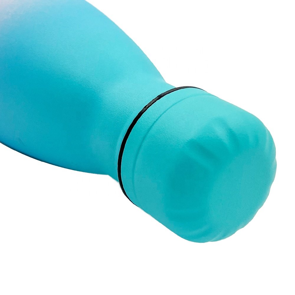 Beauchy 17oz Double Wall Vacuum Insulated Stainless Steel Water Bottle
