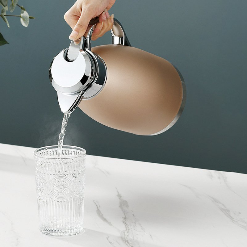 FTS vacuum flasks double wall tea thermal jug 304 stainless steel handgrip coffee insulated keep water hot and cold thermoses
