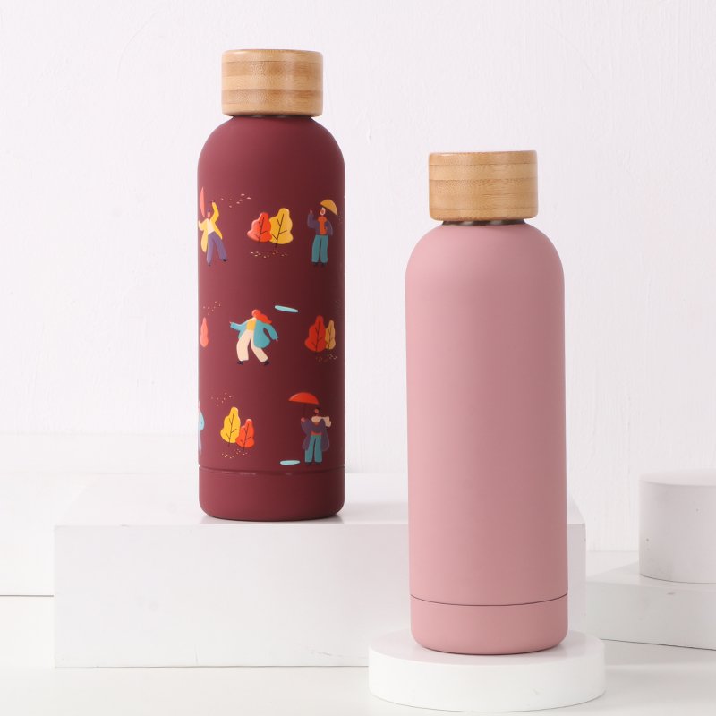 500ml Colorful painting matte finished stainless steel double walled drinking portable water bottle
