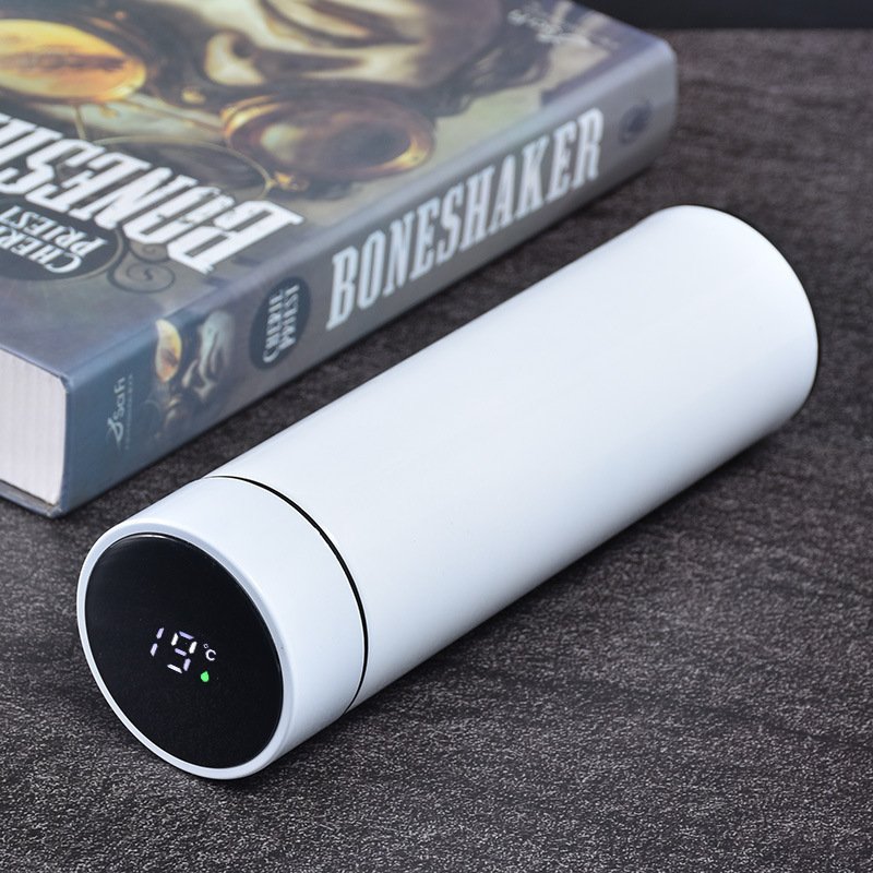 Smart Thermos Bottle Keep Cold and Hot Bottle Temperature Display Intelligent Thermos for Water Tea Coffee Vacuum Flasks