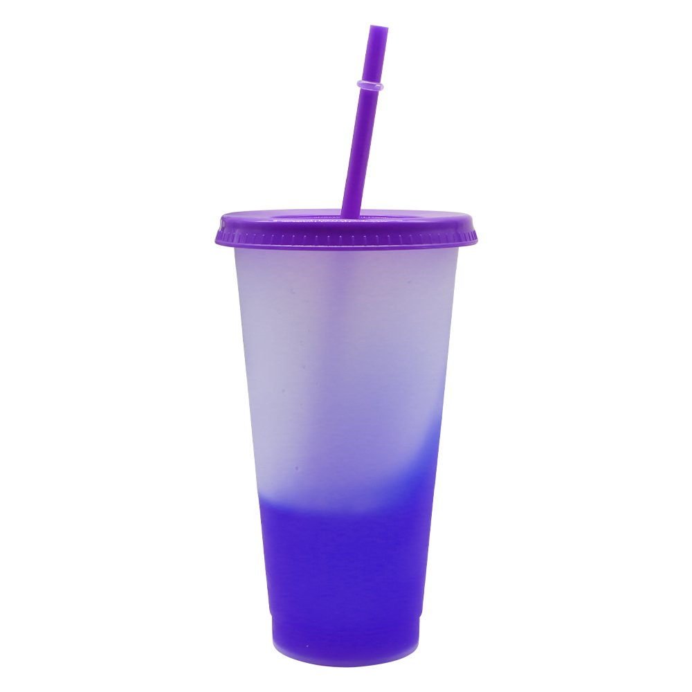 Wholesale Custom Plastic Water Bottle Transparent Eco-Friendly Plastic Cup Black Cold Cup Colour Changing Cups With Straw Lid