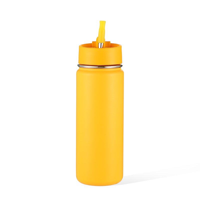 ODM 18/22oz Insulated Vacuum Flasks Slim Stainless Steel Hot Drinking Water Bottle Flask With Custom Color