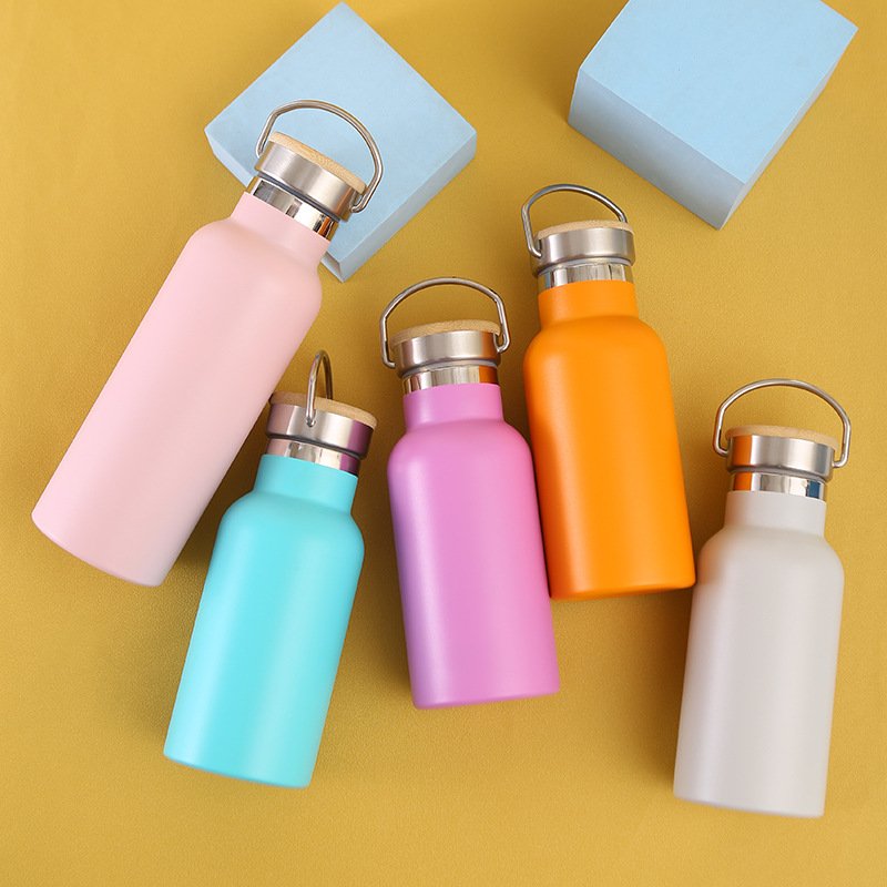 17oz Double Wall Stainless Steel Insulated Sports Water Bottle with Handle and Vacuum Seal Leakproof Lid