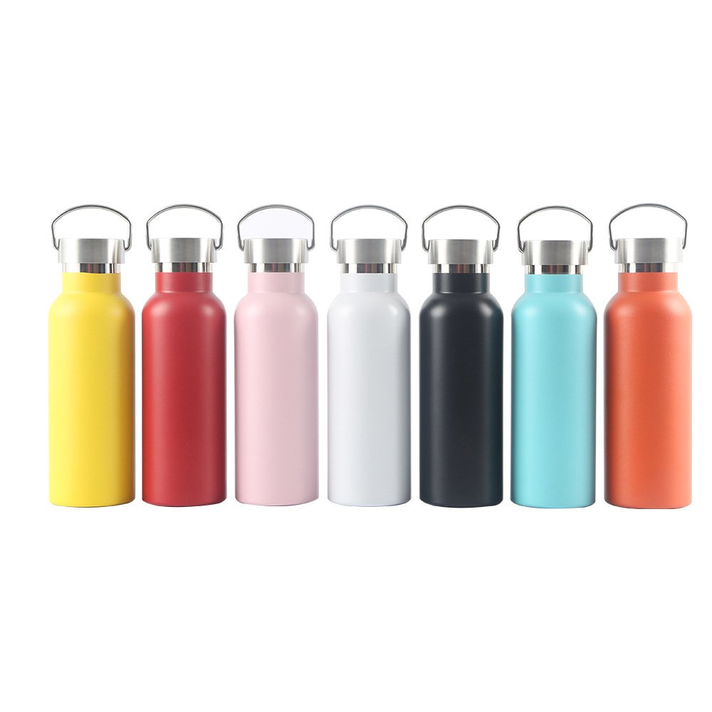 17oz Double Wall Stainless Steel Insulated Sports Water Bottle with Handle and Vacuum Seal Leakproof Lid
