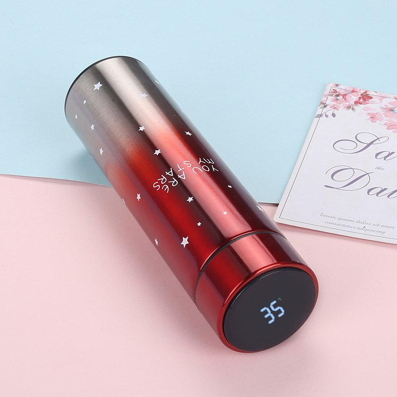 Stainless Steel Insulated Vacuum Flask Smart Water Drinking Bottle with Digital Led Temperature Display Lid Thermos
