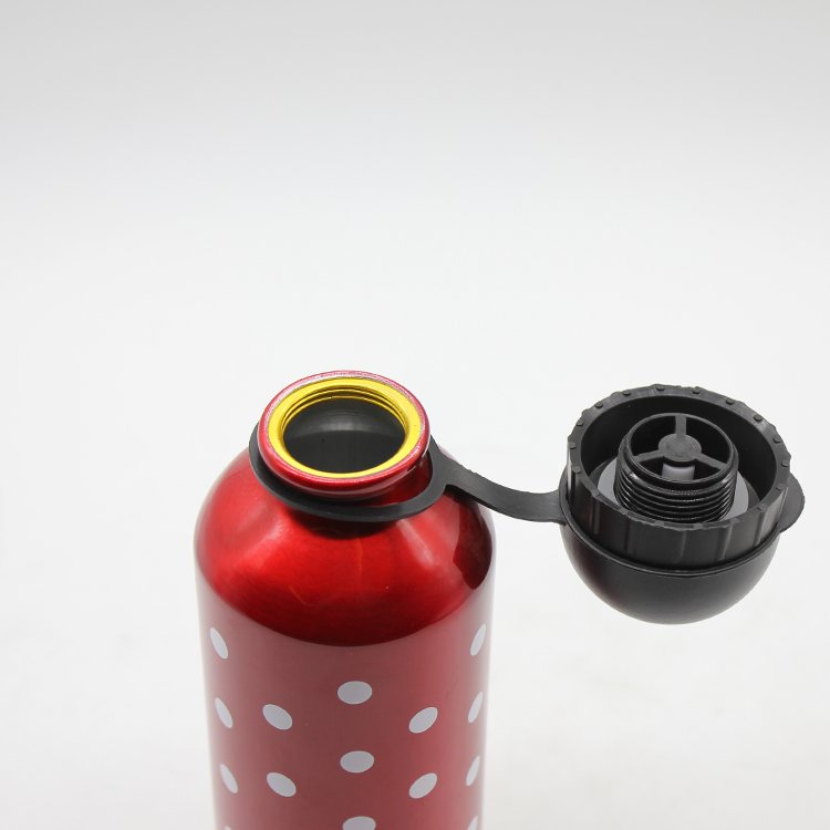 High Quality Silk Print Bicycle Aluminum Sports Water Bottle