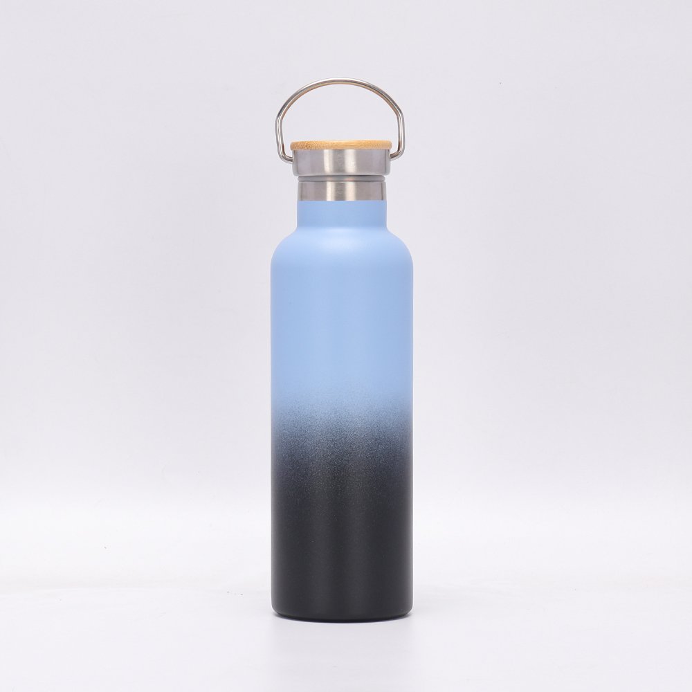 Insulated 500 ml Thermas Water Bottles Double Walled Water Bottle With No BPA Free Custom Logo