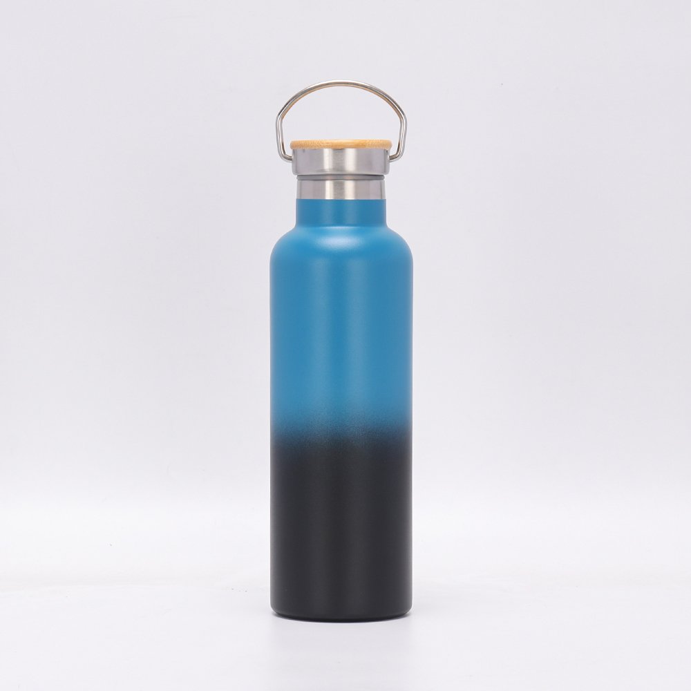 Insulated 500 ml Thermas Water Bottles Double Walled Water Bottle With No BPA Free Custom Logo