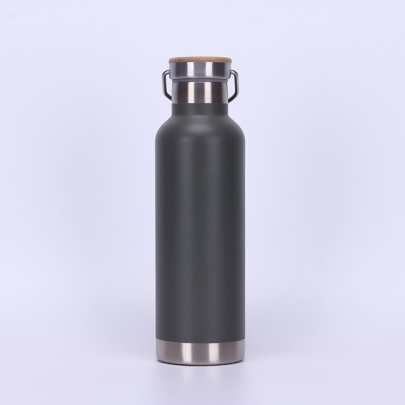 Powder Coating 750 ML Double Wall Vacuum Insulated Stainless Steel Sports Bottle Travel Water Bottle With Handle