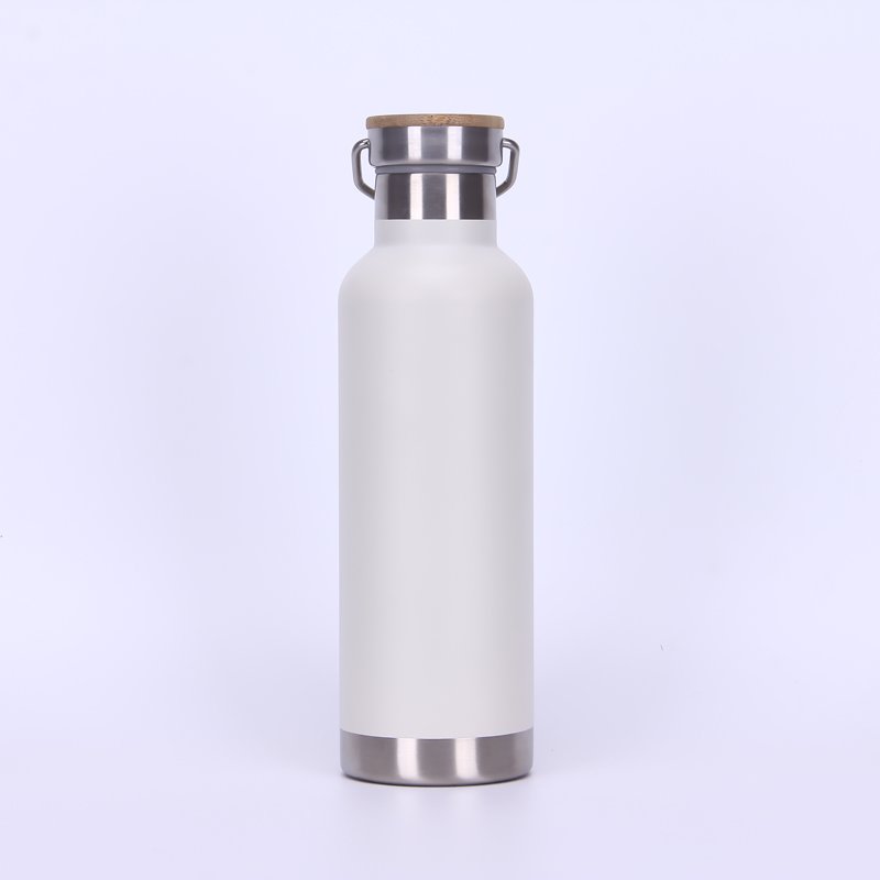 Powder Coating 750 ML Double Wall Vacuum Insulated Stainless Steel Sports Bottle Travel Water Bottle With Handle