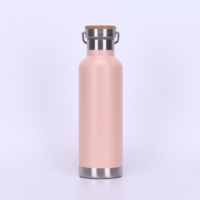Powder Coating 750 ML Double Wall Vacuum Insulated Stainless Steel Sports Bottle Travel Water Bottle With Handle