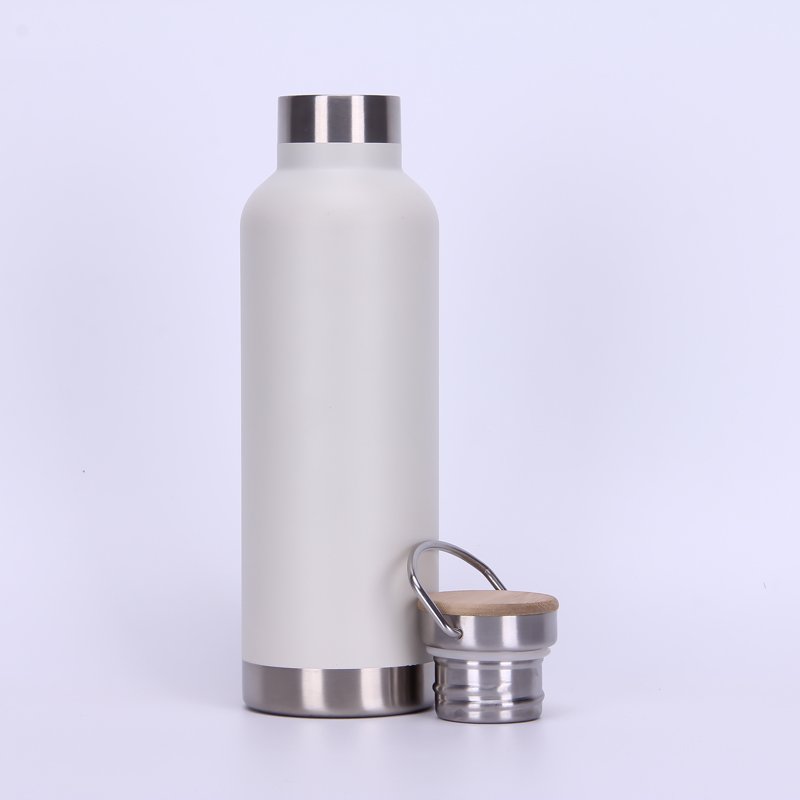 Powder Coating 750 ML Double Wall Vacuum Insulated Stainless Steel Sports Bottle Travel Water Bottle With Handle