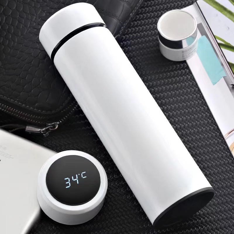 Smart Water Bottle with LED Temperature Display Thermo Cups Smart Cheap Stainless Steel Vacuum Flasks & Thermoses Modern 100 Pcs