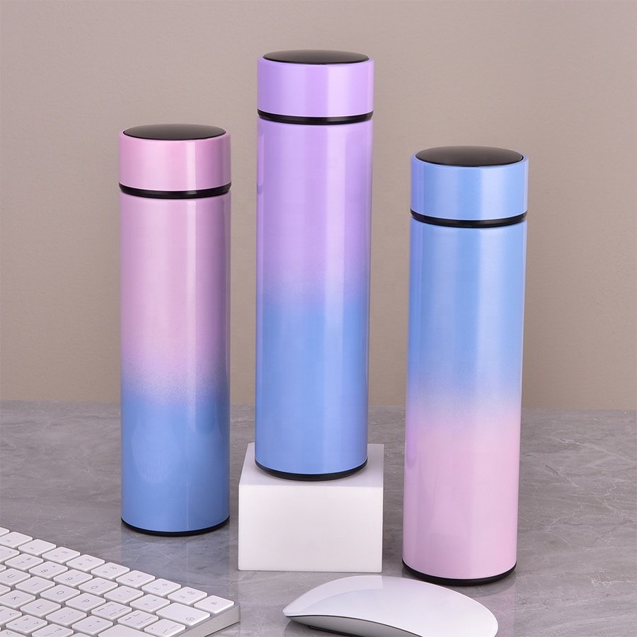 Stainless Steel BPA Free Vacuum Insulated Flask Sublimation Temperature Display Water Bottle With Filter