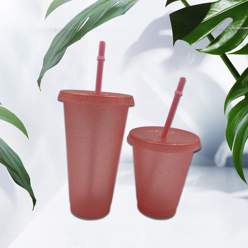 Summer Hot Sale New Water Cup Plastic Cups with Straw Lid Design Comfortable Coffee Mugs